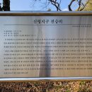 신녕지구 전승비 이미지