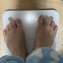 노맨즈짐 이미지