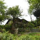 큰나무민박 이미지