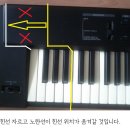 Roland A33 76마스터건반을 잘라 볼까? 이미지