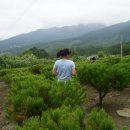 수철농장 이미지