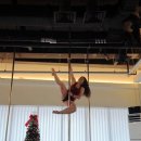 585 | 일산 폴댄스 폴린이 국화의 585회차 수업 후기 초급 이지 락스타