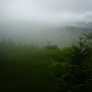 솔봉농원