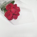 아가방갤러리 송파점 | 22. 6월 (3) 생후 29일차 아기 일상 | 신생아옷 쇼핑 | 제대탈락 | 자매집육회