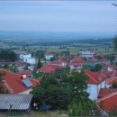 은빛물고기 이미지