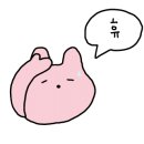네코크레이프 이미지