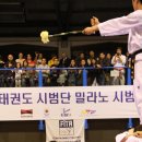 국가대표 탑클래스 태권도 이미지