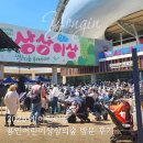 신용카 | 용인어린이상상의숲 어린이날 축제 방문 후기 (2026.05.05)