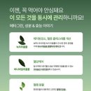 골드그린세탁 이미지