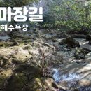 해비치민박 이미지