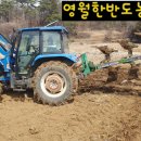 영월한반도농장 네이버블로그