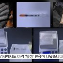 뽕쟁이
