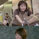 낙원사 마이데일리