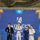 팀HJ