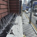 비둘기미용실 이미지