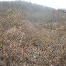 성산농원 이미지