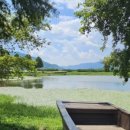 악양 평사리길 이미지