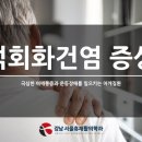 석회화건염 원인부터 증상과 치료까지