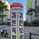 귀한족발평택 - 평택시 여술3길 7 | 평택세교동맛집 귀한족발 반반족발 포장후기