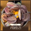 5361 | 진주 칠암동이자카야 카메토리 홍가리비찜 후기