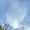 아름다울, 개 | 봄에 가면 더욱 아름다울 것 같았던 경주기림사 드디어 봄날에 다시 찾았어요