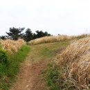 제주 셋알오름 일제 고사포진지 이미지