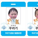 도안우리약국 이미지