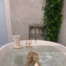 혼목쌀롱 이미지