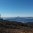 지리산반야봉토종꿀 네이버블로그