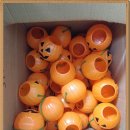 봉곡동113 이미지