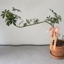 리버파크자이공인중개사사무소 이미지