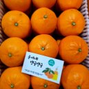 윤서네 탱귤탱귤