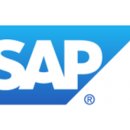 SAP 이미지