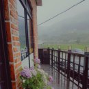 거제비치블루애견펜션 이미지