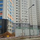 소담동 한국개발연구원 앞 이미지