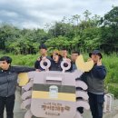 백록정궁도장 이미지