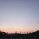 CU아크로점 | 서울숲 벚꽃 개화 상태, 거리 풍경 평일 방문 후기