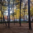 유로파라텔 이미지