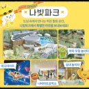 함평여자중학교 | 함평나비대축제 2026 기본정보 입장료 주차장 완벽 정리