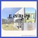 월항면주차공원 | 성주 카페 트리팔렛 방문기 피스타치오 파스타와 명란소금빵 후기