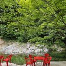 산머루민박 티스토리
