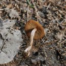 청주청원도서관 이미지