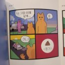 12월, 쌓일 수 있는 곳마다 내리는 세월들이 희다 / 단상