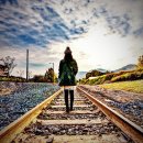 자전거쉼터 이미지