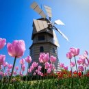 조광현 국제종합행정사 사무소 이미지