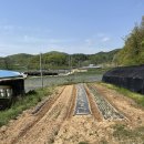 육사시미 콘서트 2 이미지