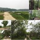 6월6일(수) 한동연 클린 캠페인&남한강 주변의 아름다운 길 "여주 여강길 3코스-바위늪구비길" 이미지