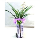 응암2동 576-32 이미지