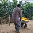 철이농장 이미지