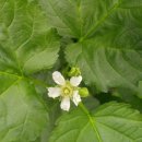 현미농장 이미지